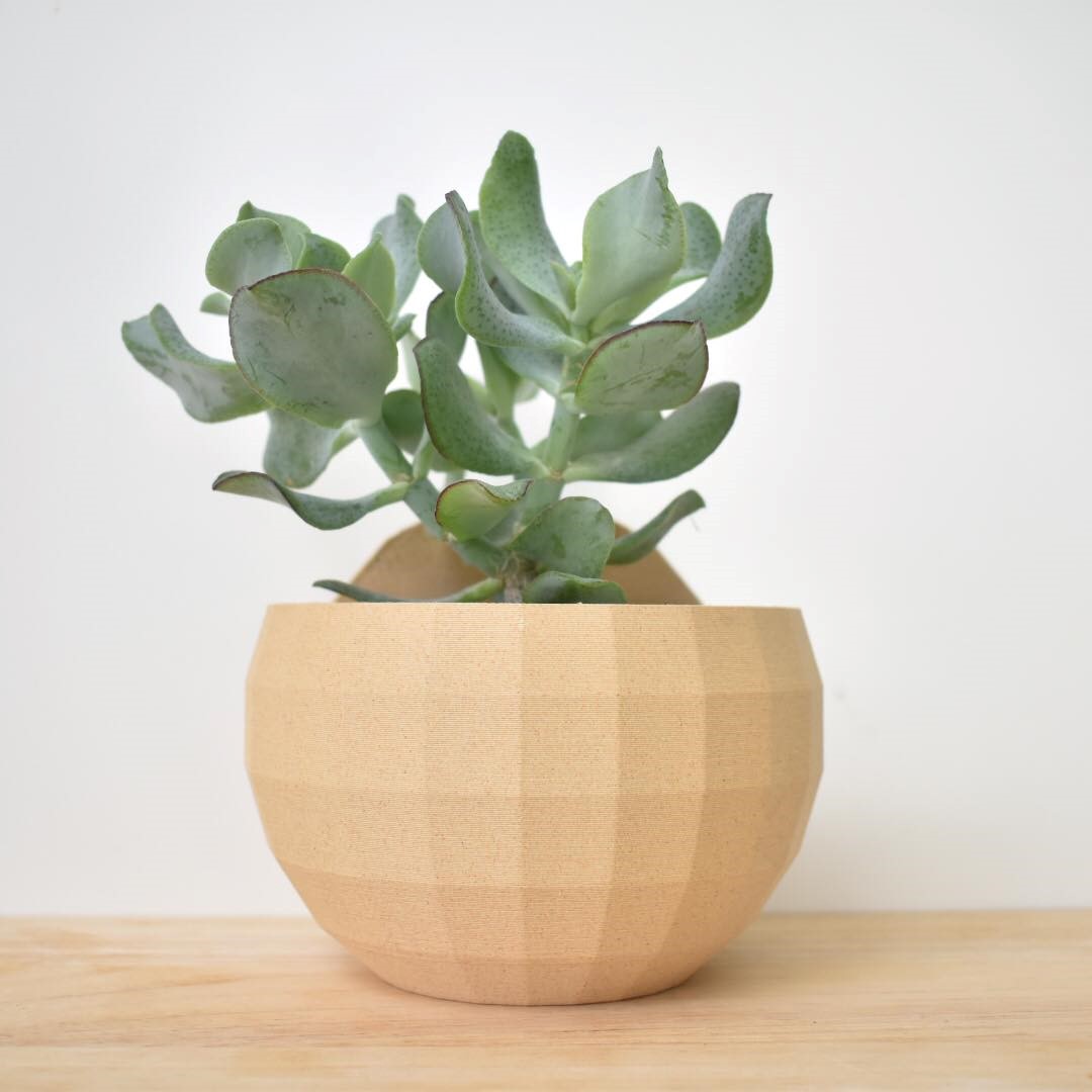 bloempotten bloempotje hout groen rood eik houtfilament woodfilament 3D 3Dprintable 3D-geprint 3D printing