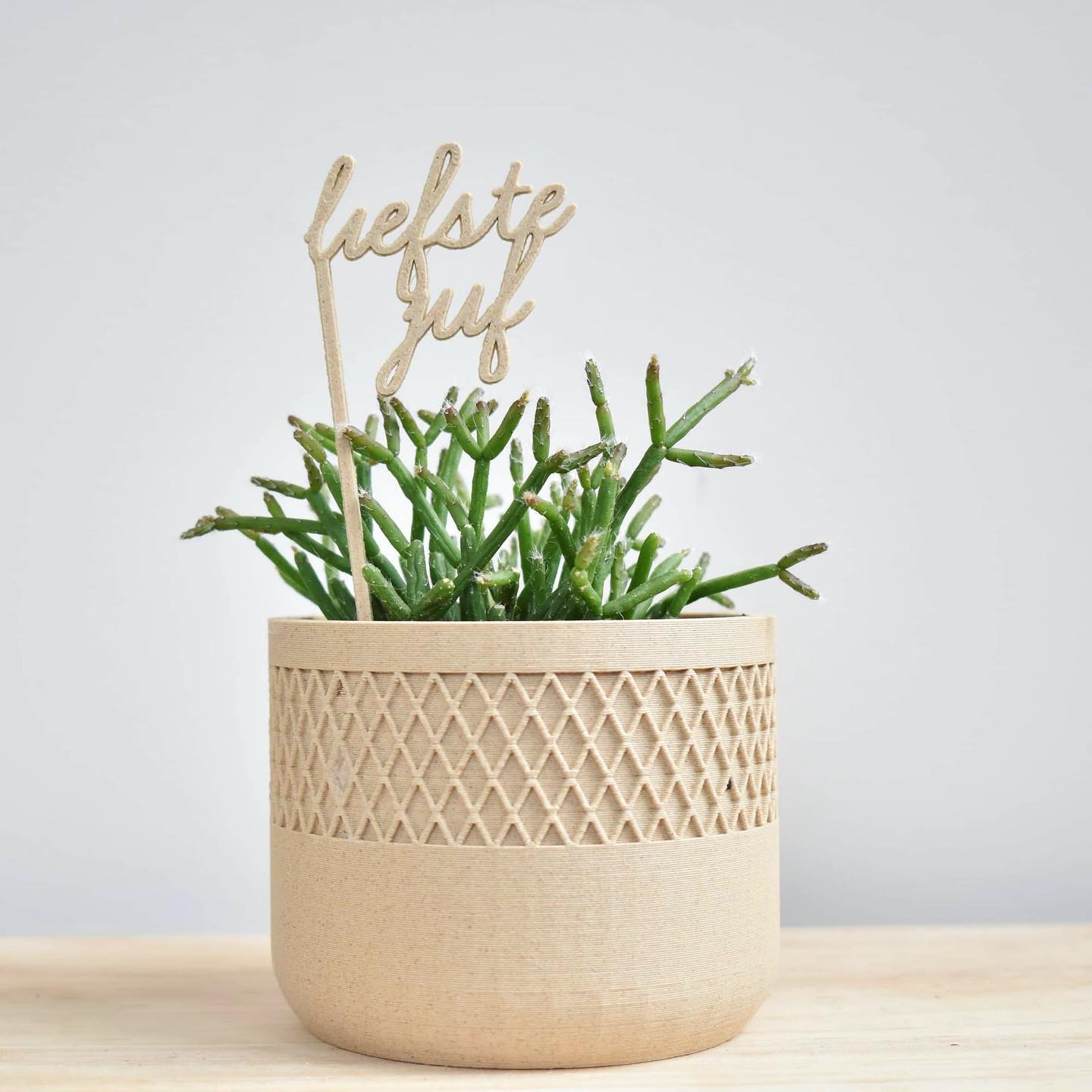 bloempotten bloempotje hout groen rood eik houtfilament woodfilament 3D 3Dprintable 3D-geprint 3D printing